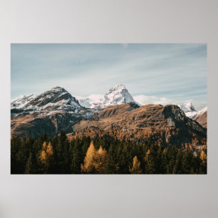 PÓSTER ÁRBOLES VERDES CERCA DE LA MONTAÑA CUBIERTA DE NIE