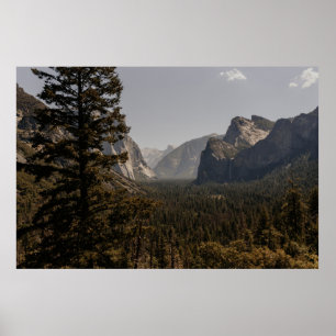 PÓSTER ÁRBOLES VERDES CERCA DE LA MONTAÑA DURANTE EL DÍA