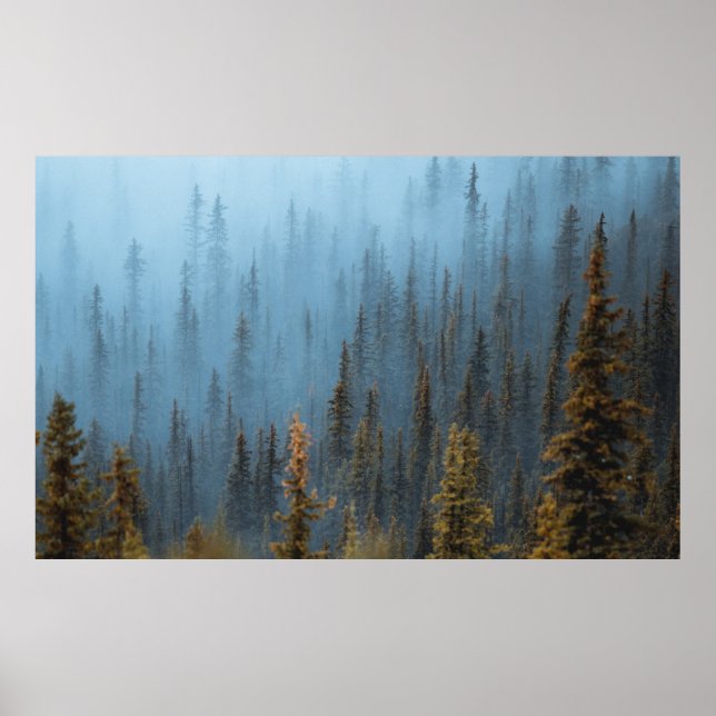 PÓSTER ÁRBOLES VERDES DURANTE EL DÍA (Frente)