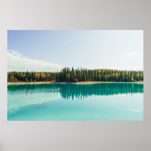 PÓSTER ÁRBOLES VERDES JUNTO AL CUERPO DEL AGUA DURANTE EL