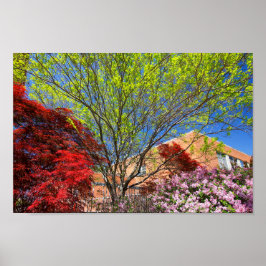 Póster Árboles y autobuses coloridos en primavera