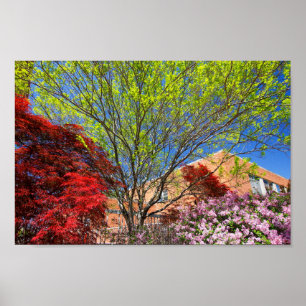 Póster Árboles y bosquejos en primavera