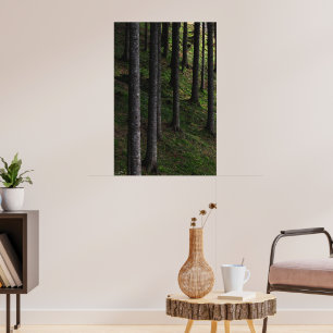 Póster Árboles y musgo verde