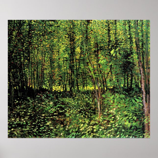 Póster Árboles Y Subcrecimiento (Frente)