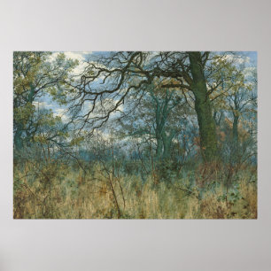 Póster Árboles y subcrecimiento - William Fraser Garden