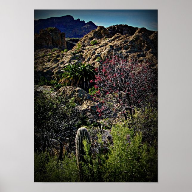 Póster Arboreto Boyce Thompson (Frente)