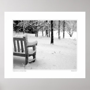 Póster Arboreto Nicolás #3