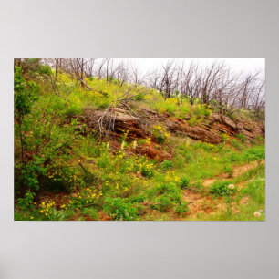 Póster Arbuckles tras el incendio