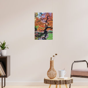 Póster Arce Japonés Laceleaf Otoñal Árbol Botánico