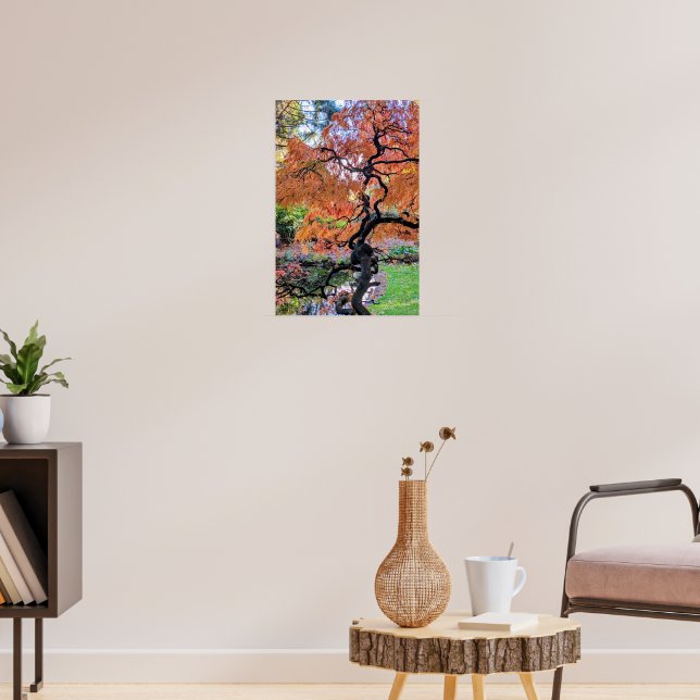Póster Arce Japonés Laceleaf Otoñal Árbol Botánico (Salón 3)