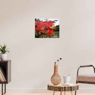 Póster Arce Japonés Rojo y Foto de Santuario de Jardín