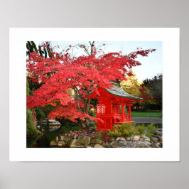 Póster Arce Japonés Rojo y Foto de Santuario de Jardín