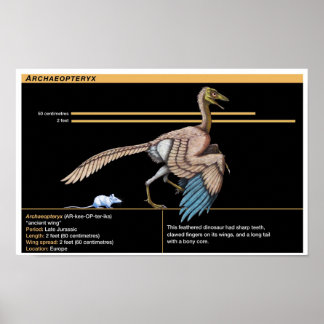 Póster Archaeopteryx - Biología del dinosaurio Jurásico