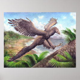 Póster Archaeopteryx Print