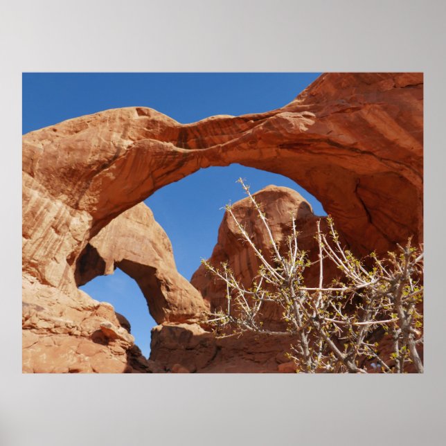 Póster Arco doble en el Parque Nacional Arches (Frente)