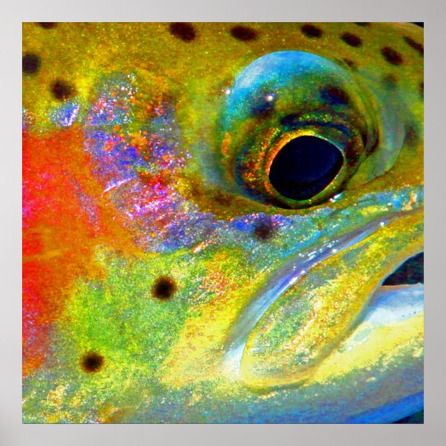 Póster "Arcoiris celeste" (Frente)