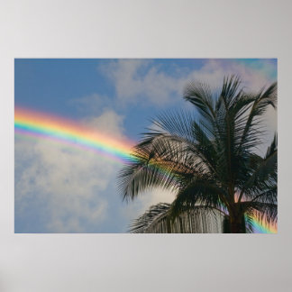 Póster Arcoiris con árbol de palma
