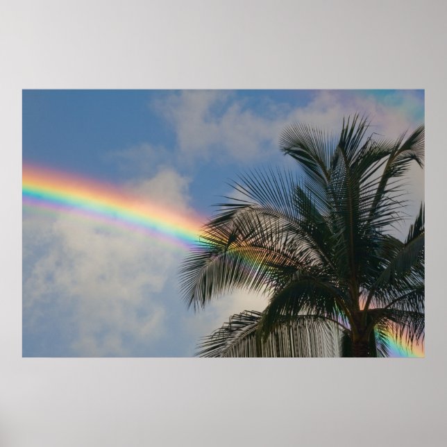 Póster Arcoiris con árbol de palma (Frente)