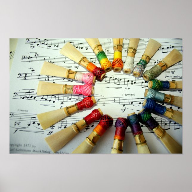 Póster Arcoiris de Bassoon Reed (Frente)