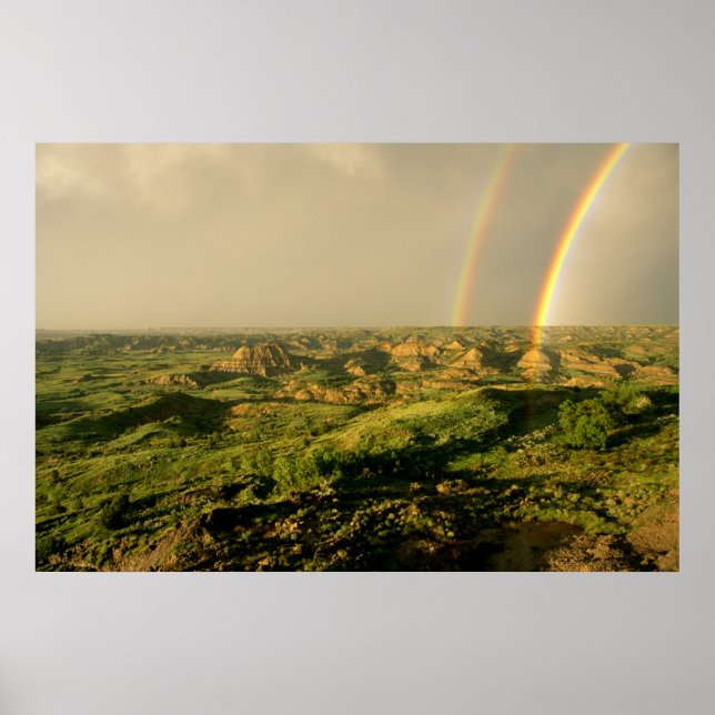 Póster Arcoíris doble sobre Painted Canyon en Theodore (Frente)