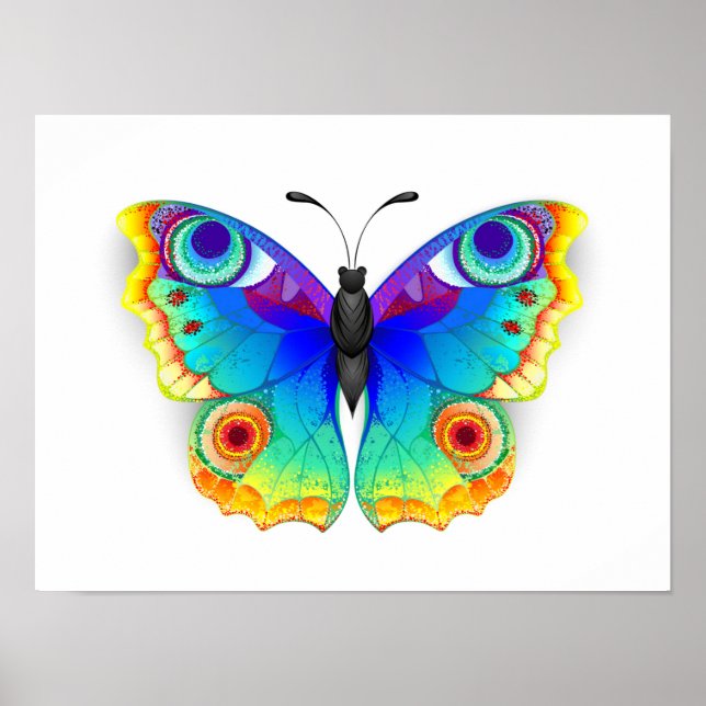 Póster Arcoiris mariposa Peacock Eye (Frente)