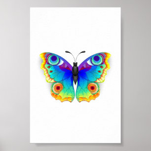Póster Arcoiris mariposa Peacock Eye