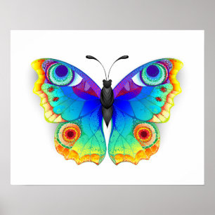 Póster Arcoiris mariposa Peacock Eye