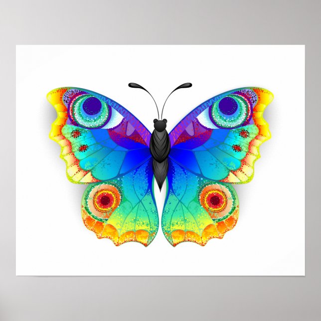 Póster Arcoiris mariposa Peacock Eye (Frente)
