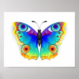 Póster Arcoiris mariposa Peacock Eye