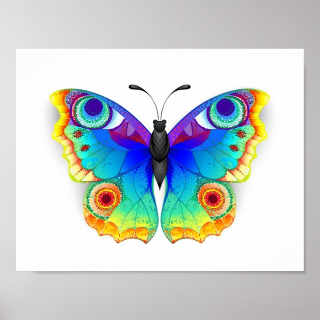 Póster Arcoiris mariposa Peacock Eye (Frente)
