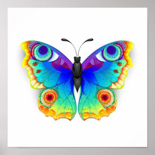 Póster Arcoiris mariposa Peacock Eye