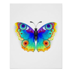 Póster Arcoiris mariposa Peacock Eye