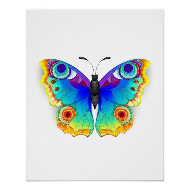 Póster Arcoiris mariposa Peacock Eye (Anverso)