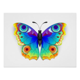 Póster Arcoiris mariposa Peacock Eye