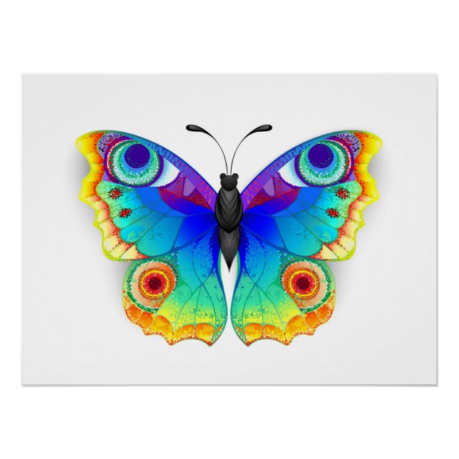 Póster Arcoiris mariposa Peacock Eye (Anverso)