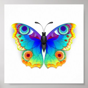 Póster Arcoiris mariposa Peacock Eye