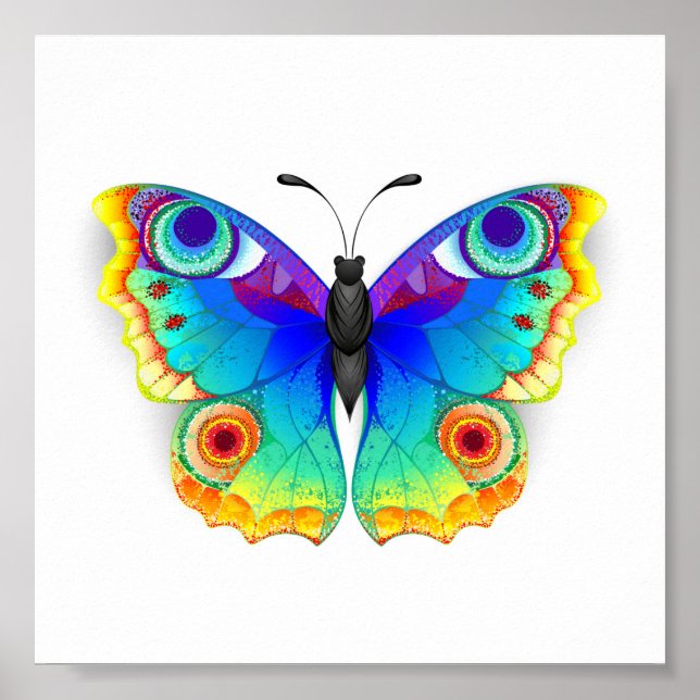 Póster Arcoiris mariposa Peacock Eye (Frente)