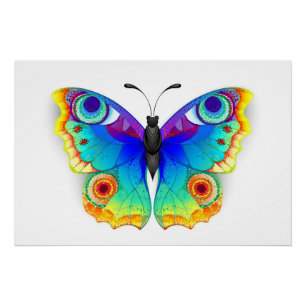 Póster Arcoiris mariposa Peacock Eye