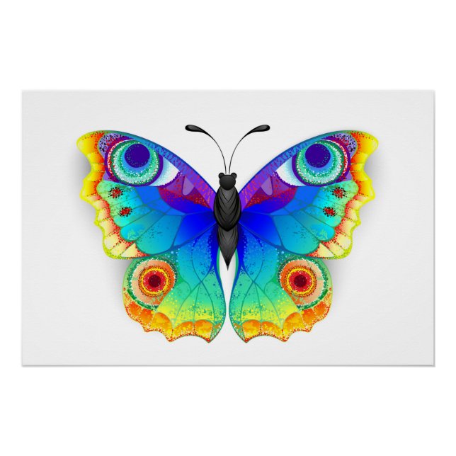 Póster Arcoiris mariposa Peacock Eye (Anverso)