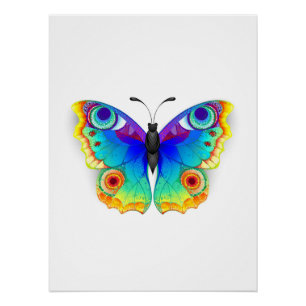 Póster Arcoiris mariposa Peacock Eye