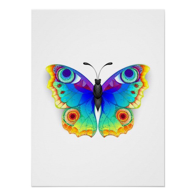 Póster Arcoiris mariposa Peacock Eye (Anverso)