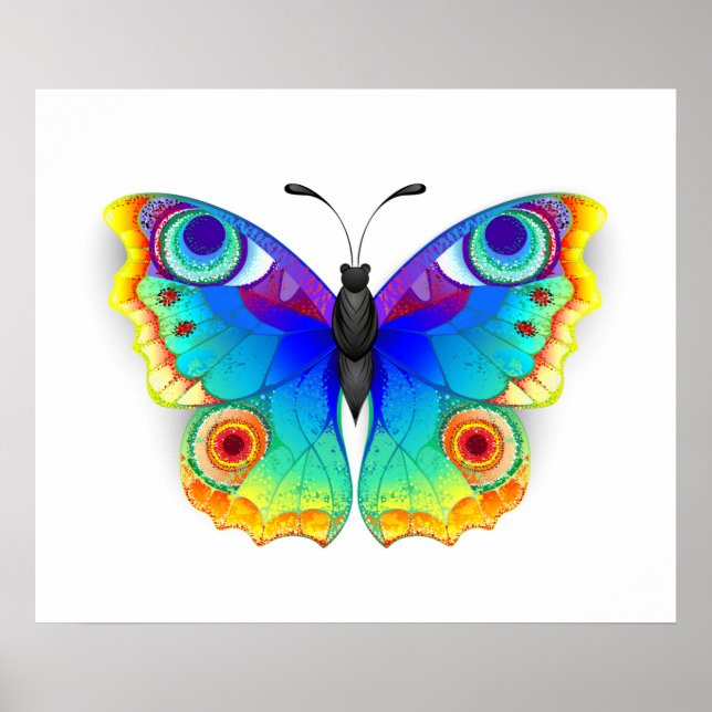 Póster Arcoiris mariposa Peacock Eye (Frente)