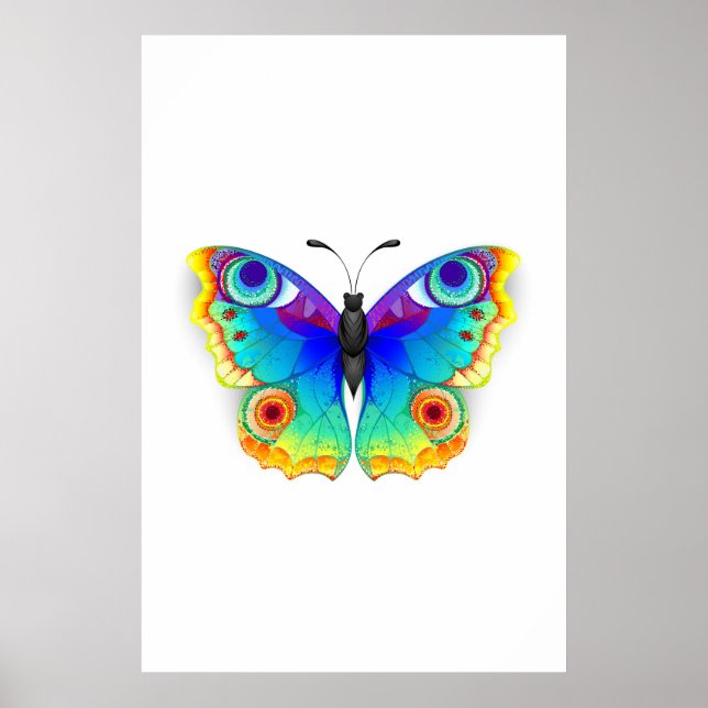 Póster Arcoiris mariposa Peacock Eye (Frente)