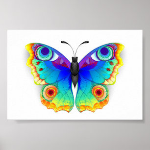 Póster Arcoiris mariposa Peacock Eye
