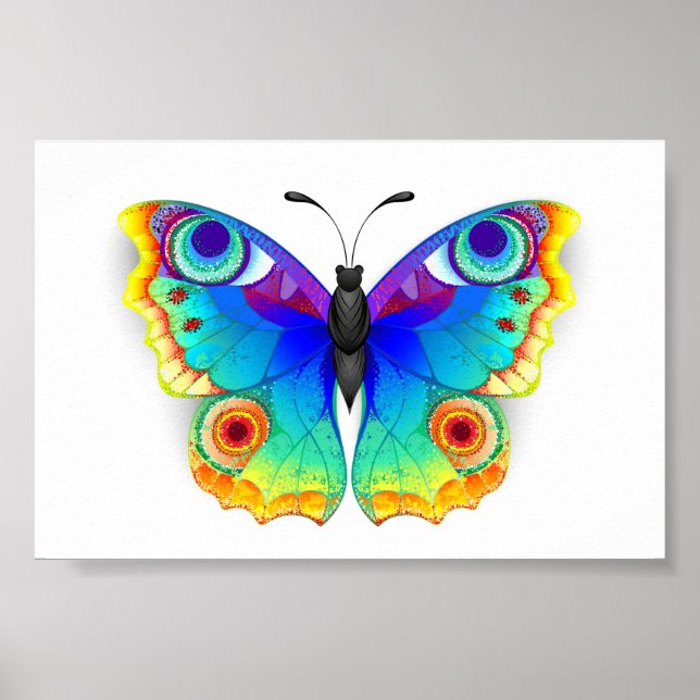 Póster Arcoiris mariposa Peacock Eye (Frente)