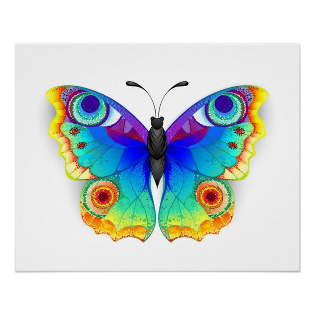 Póster Arcoiris mariposa Peacock Eye (Anverso)