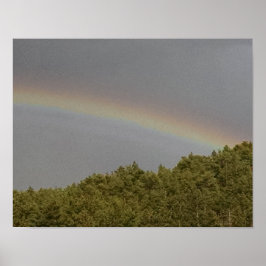 Póster Arcoiris supernumerario, sobre el bosque siempre v