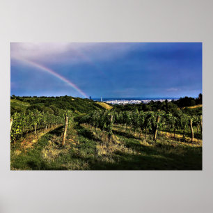 Póster Arcoiris vitícola de Viena