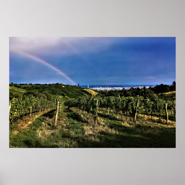Póster Arcoiris vitícola de Viena (Frente)