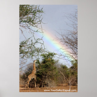 Poster arcoiris y jirafa / impresión (hasta 35x52 